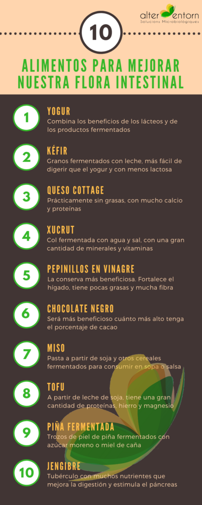 10 Alimentos Para Mejorar La Flora Intestinal - Alter-entorn