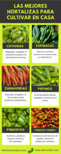 Las mejores hortalizas para cultivar en casa