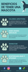 Beneficios de tener una mascota