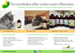 Productos naturales para cuidar nuestras mascotas