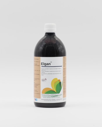 Elgan de 1l