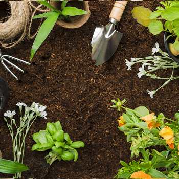 COMPOST, HUERTO Y JARDÍN