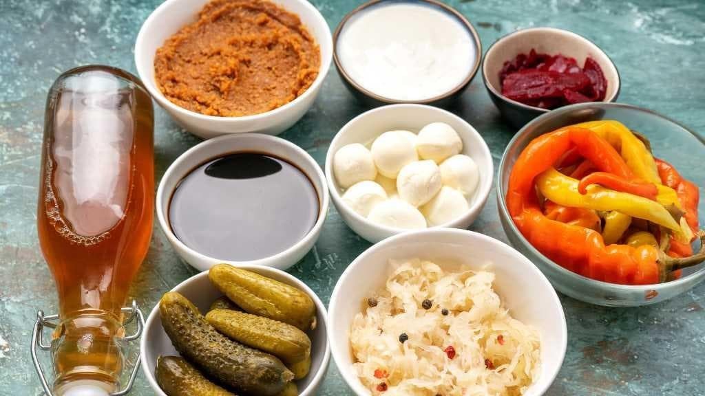 productos fermentados